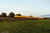 Filename=Proof_AT6A0108.jpg
Filesize=197KiB
Dimensions=1024x683
Date added=Jan 22, 2017 Proof_AT6A0108.jpg