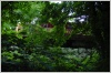 Photo Number 5