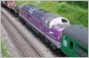 Photo Number 7