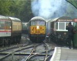 56104 Alresford
